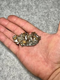 Image 7 of Rare Sericho Pallasite Meteorite Slice #2427