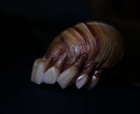 Image 13 of Dental Snull sculpture- blonde bone color, OOAK
