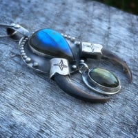 Image 2 of Labradorite and porcupine claw