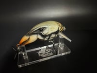 Image 1 of Molting Mudbug 