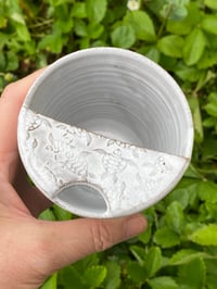 Image 3 of Turtle decorated LID  Travel Cup