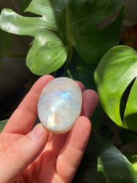 Image 5 of Moonstone Palm Crystal (5)