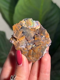 Image 4 of NATURAL RAINBOW IRIDESCENT CUBIC FLUORITE -CHINA- P
