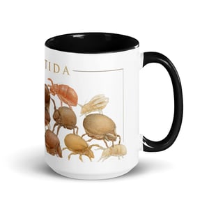 Oribatida colors mug