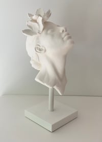 Image 1 of BLOOM WHITE PRE ORDER