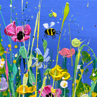Image 3 of May Meadow