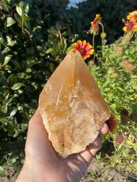 Image 2 of Twin Golden Dogtooth Calcite