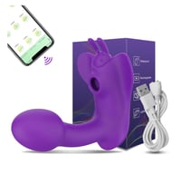 Remote G Soot Vibrator 