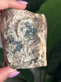 Image 3 of DENDRITIC FELDSPAR -ITALY- C