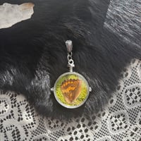 Image 2 of Lg Curiosity Locket II