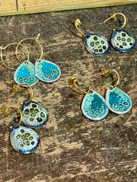 Image 9 of Blue Green Beauties 