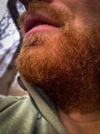 Image 2 of Benevolent Beard Oil