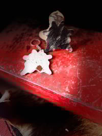 Image 8 of Key chains