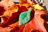Image 1 of Vibrant Green Leaf #3