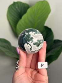 Image 4 of CHOOSE YOUR OWN MOSS AGATE SPHERE -INDIA- LOT 1