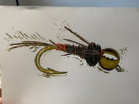 Polish Pheasant Tail