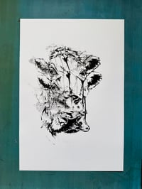 Moo-ve it 2