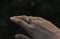 Image of Opal Doppelring