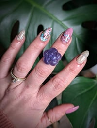 Image 3 of Mini Succulent Collection 