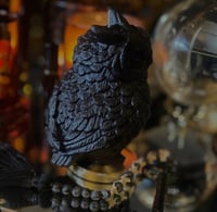 Image 2 of The Night Owl