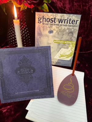 Image of The Ghost Writer