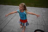 Image 8 of cicada patchwork purple pink 3T short sleeve tshirt courtneycourtney twirly upcycle dress fun bugs