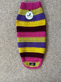Image 1 of Stripy Snazz