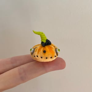 Image of Tiny Pumpkin Nugget #12