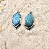 Image 3 of Lab earrings