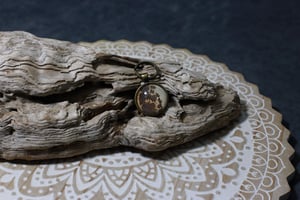 Image of Sand Boa Collection