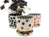 Image 1 of Polka Dot Planters 