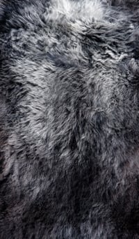 Image 5 of Harting Black Sheepskin #2