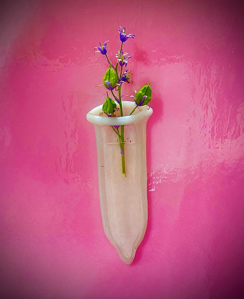 Image of glass condom hanging pocket vase
