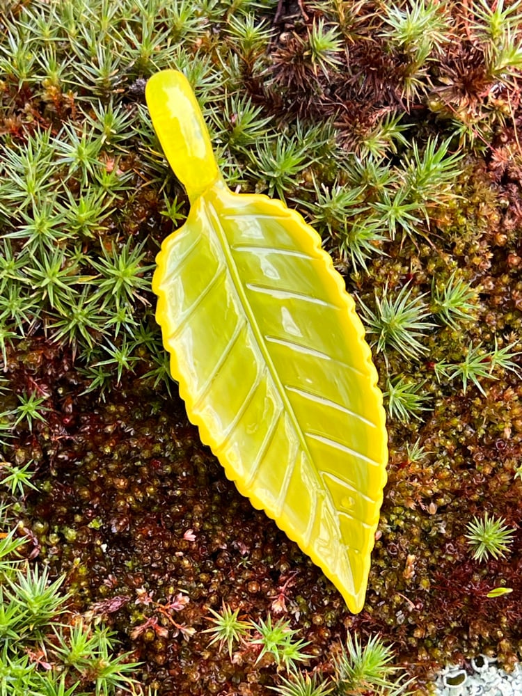 Image of Lemon Lime Leaf Pendant