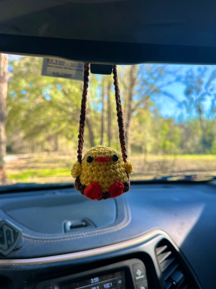 Image of swinging duck car hanging 