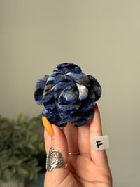 Image 6 of SODALITE  ROSES