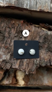 Image 1 of White buffalo post earrings