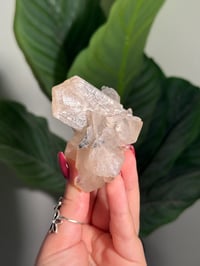 Image 1 of BOWTIE STILBITE X DIAMOND APOPHYLITE -INDIA- B