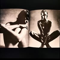 Image 4 of PLEXUS #26