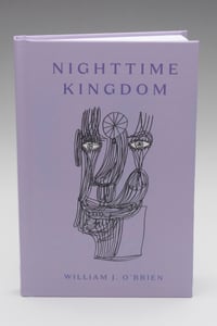 Image 2 of Nighttime Kingdom Hard Cover Book now available!