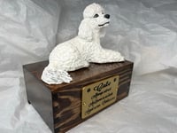 Image 2 of Custom Engraved White Poodle Urn Wings Angel Pet Portrait Cremation Ashes
