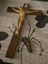 Image 4 of Orbweaver Taxiderny Spider 1800s Bible Page With crucifix and Real Web