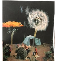 Allergy camping poster