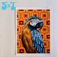 Image 3 of Macaw print