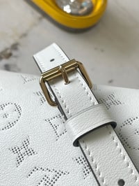 Image 18 of LV Bundle Bag