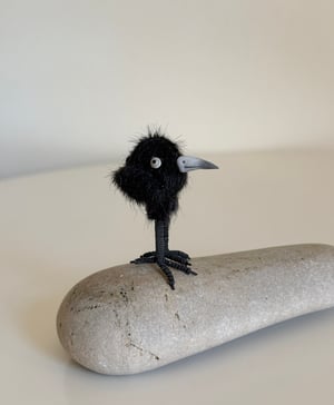 Image of Very Tiny Raven Baby #2