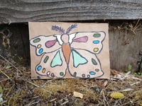 Image 5 of Moth 