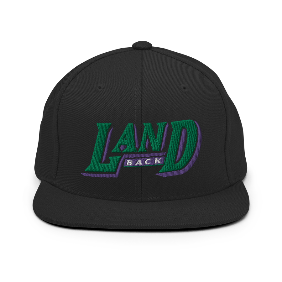 Image of LOWER AZ Arizona Land Back Snapback Hat