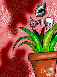misconception plant