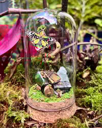 Image 1 of Large Domes